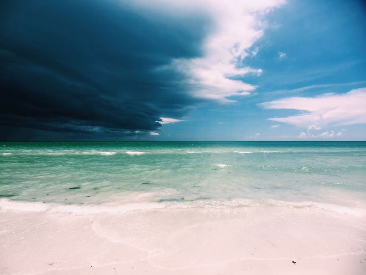 Stormfront - Part 2