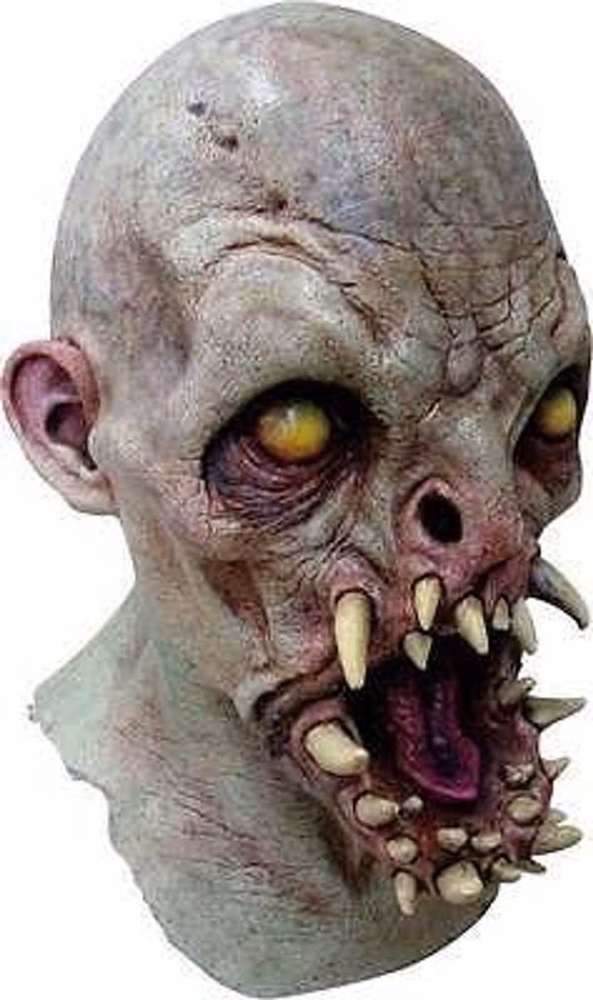 Gelf